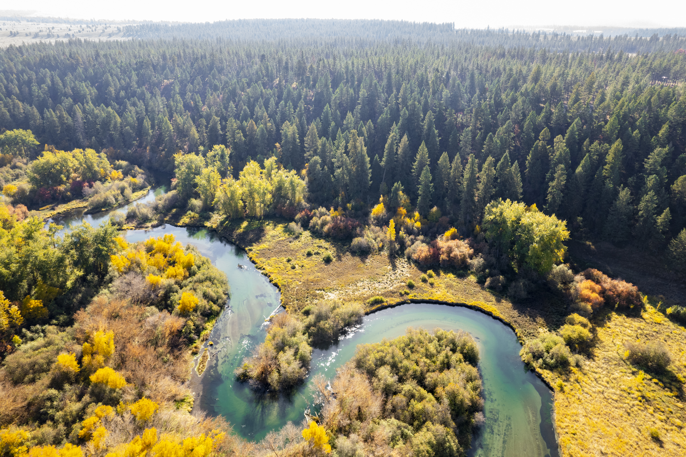 Nine Mile Spokane Washington - Brandon @ Everyday I'm HOVERIN