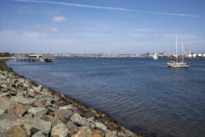 Image gallery image